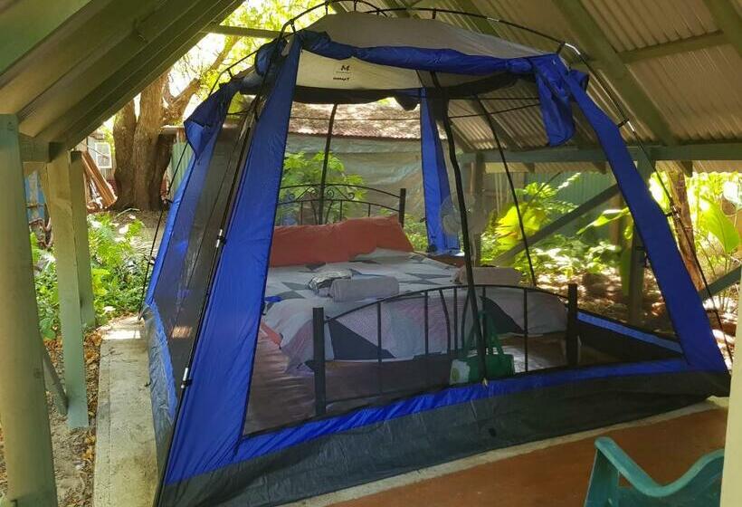 بنسيون Arcadia Beach Guest House And Car Hire