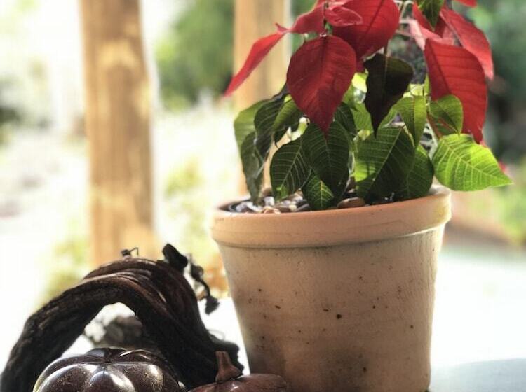 膳宿费 Claires Of Sandton Luxury Guest House