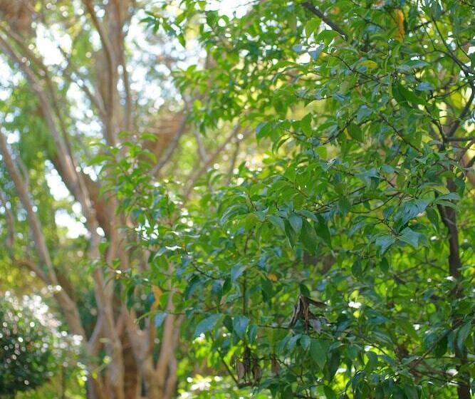 Пансион Foxwood House Boutique