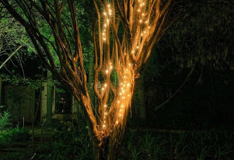 Пансион Foxwood House Boutique