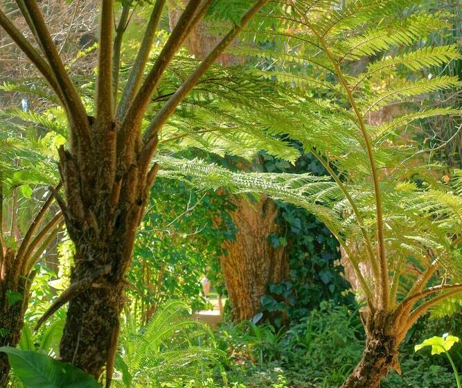 Пансион Foxwood House Boutique