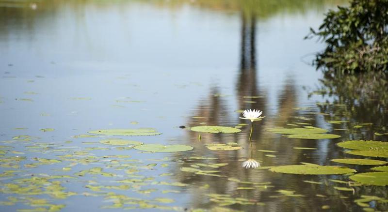 膳宿费 Ongula Village Homestead Lodge