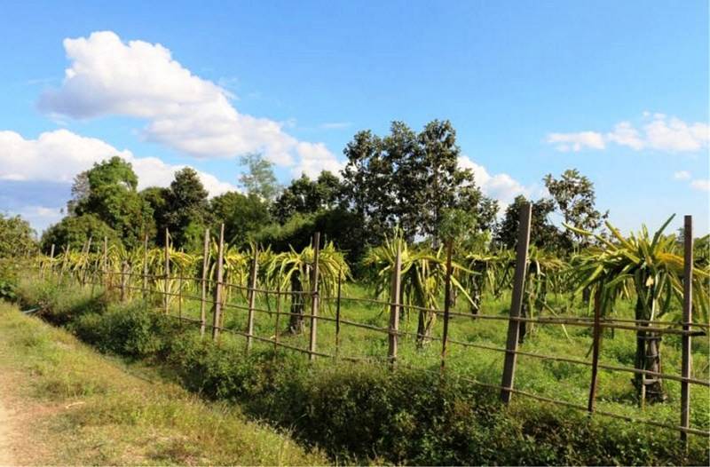 펜션 The Bong Thom Homestay