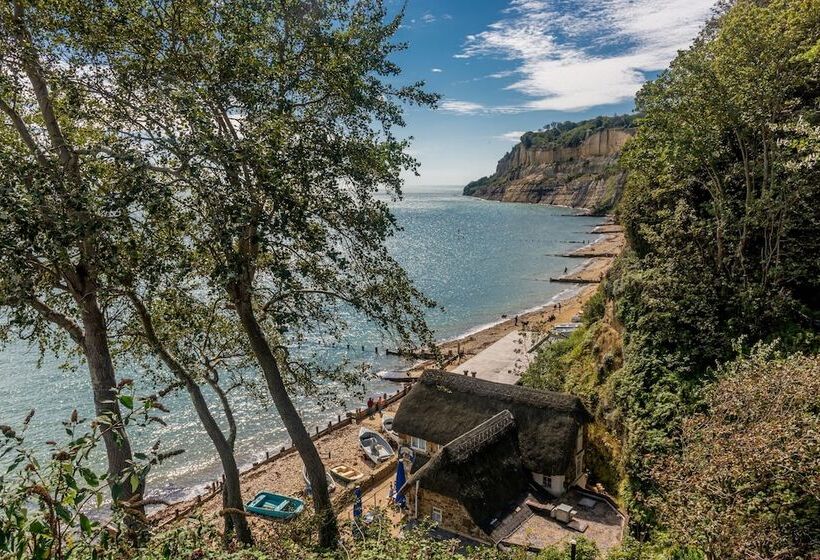 The Richmond Bed And Breakfast   Adults Only