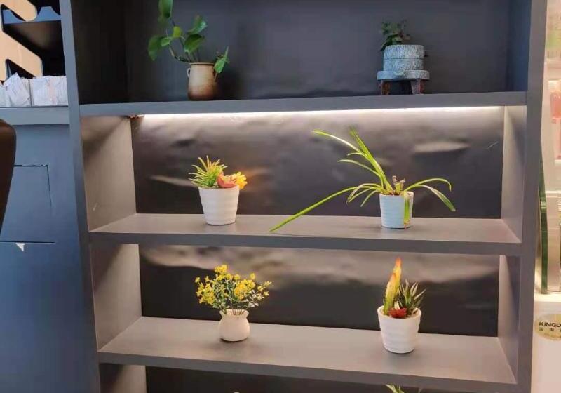 Hanting Premium Hotel Nantong Qidong Lvsi