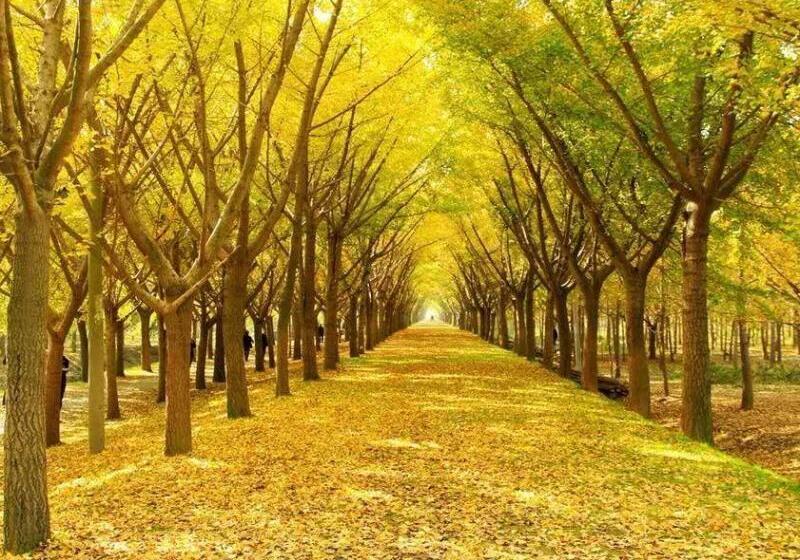 ホテル Up And In Jiangsu Xuzhou1 Pizhou Tiefu