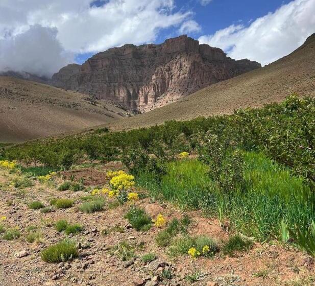 هاستل Gite Ifoulou Tassaout