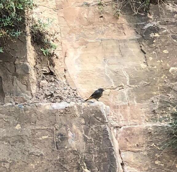 هاستل Gite Ifoulou Tassaout