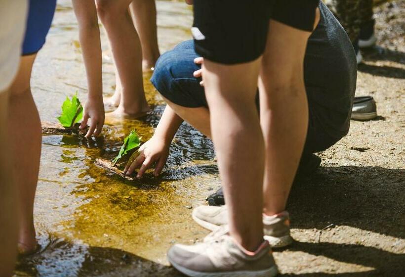 旅馆 Riihon Majatalo