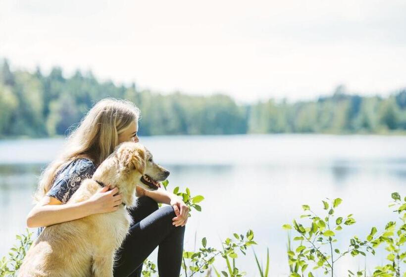 旅馆 Riihon Majatalo