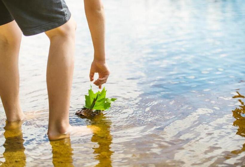 旅馆 Riihon Majatalo