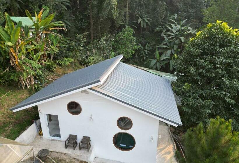 Bed and Breakfast บ้านชายดอย Glamping ดอยแม่แจ๋ม Cheason ,muangpan, Lampang