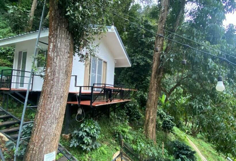 Bed and Breakfast บ้านชายดอย Glamping ดอยแม่แจ๋ม Cheason ,muangpan, Lampang