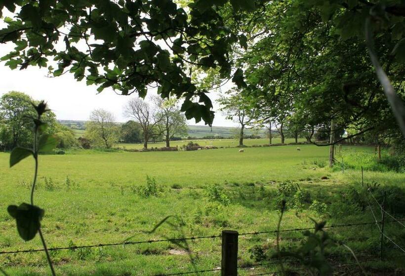 ベッドアンドブレックファースト Ty Llwyd