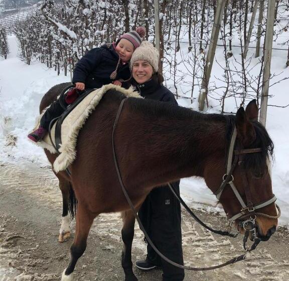 בית מלון כפרי Buehlerhof Agriturismo, Obst &weingut, Urlaub Mit Hund, Pferde, Bauernhof, Brixen