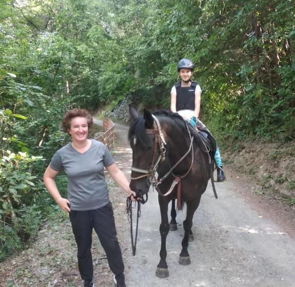 בית מלון כפרי Buehlerhof Agriturismo, Obst &weingut, Urlaub Mit Hund, Pferde, Bauernhof, Brixen