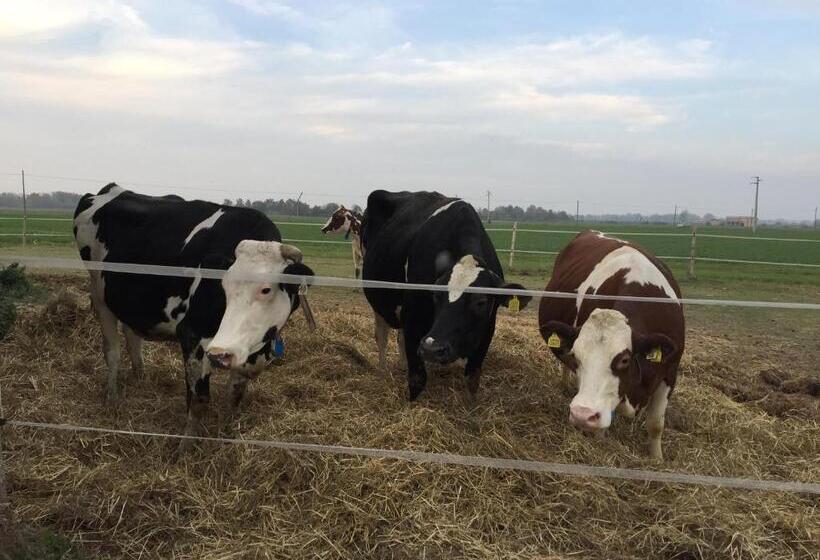 בית מלון כפרי Fattoria Amelia