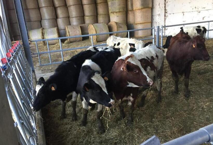 בית מלון כפרי Fattoria Amelia