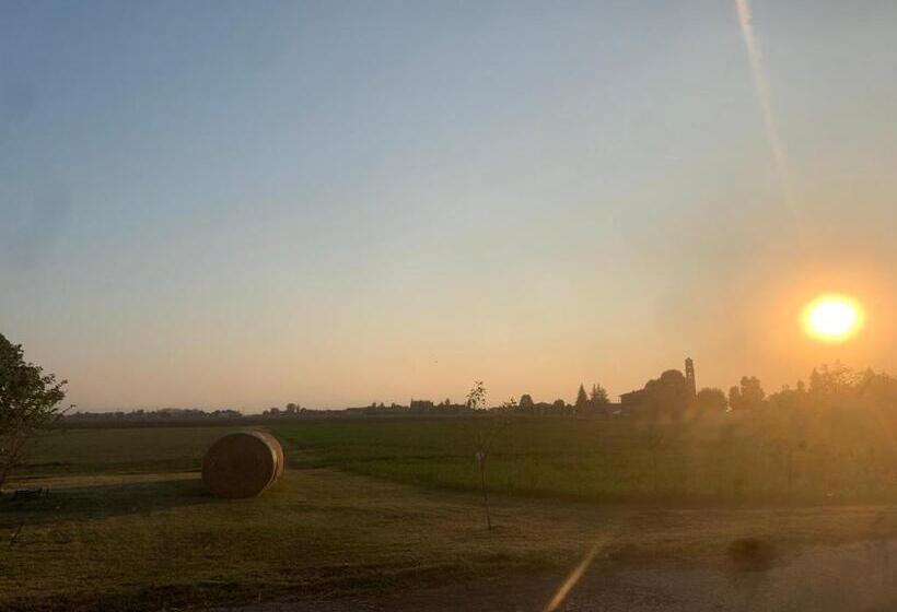 בית מלון כפרי Fattoria Amelia