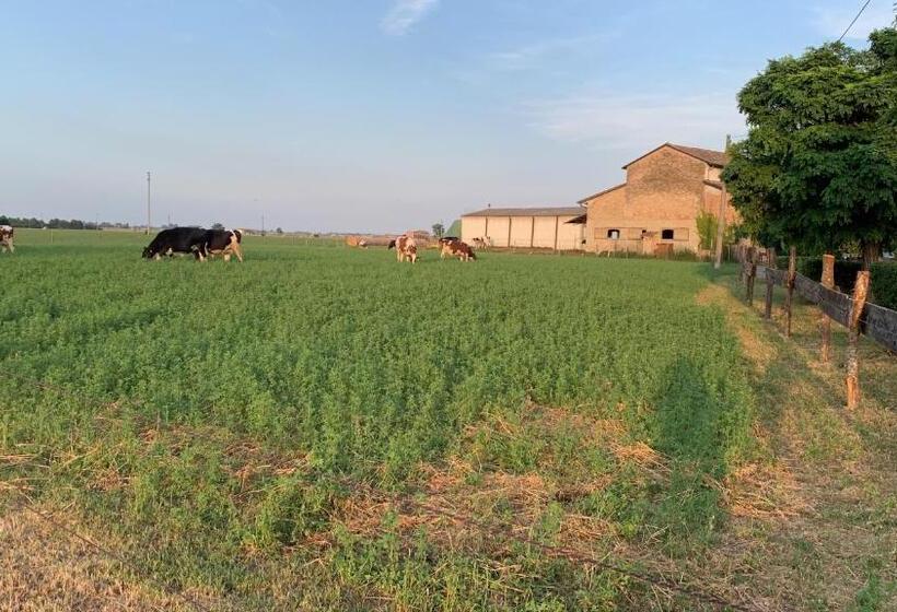 בית מלון כפרי Fattoria Amelia