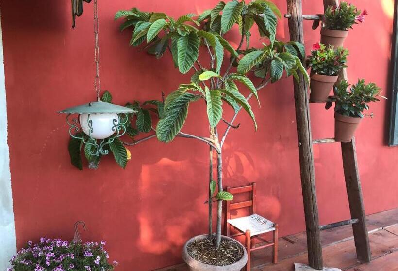 בית מלון כפרי Fattoria Amelia