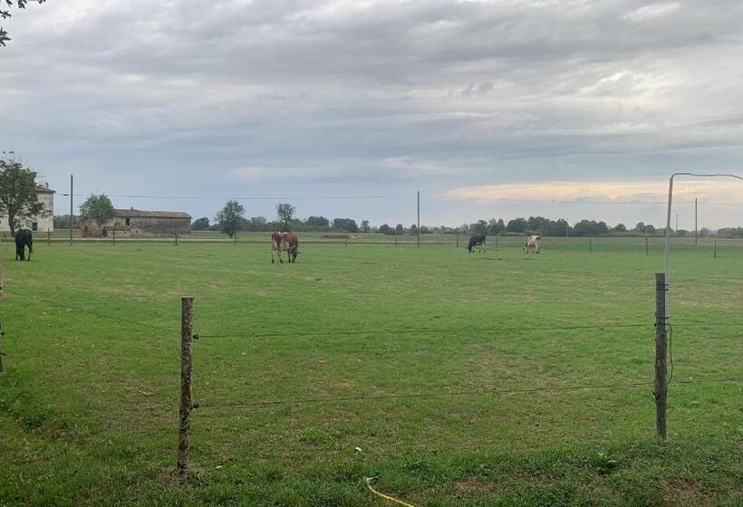 בית מלון כפרי Fattoria Amelia