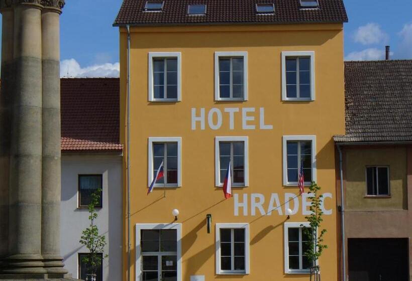 酒店 Hradec
