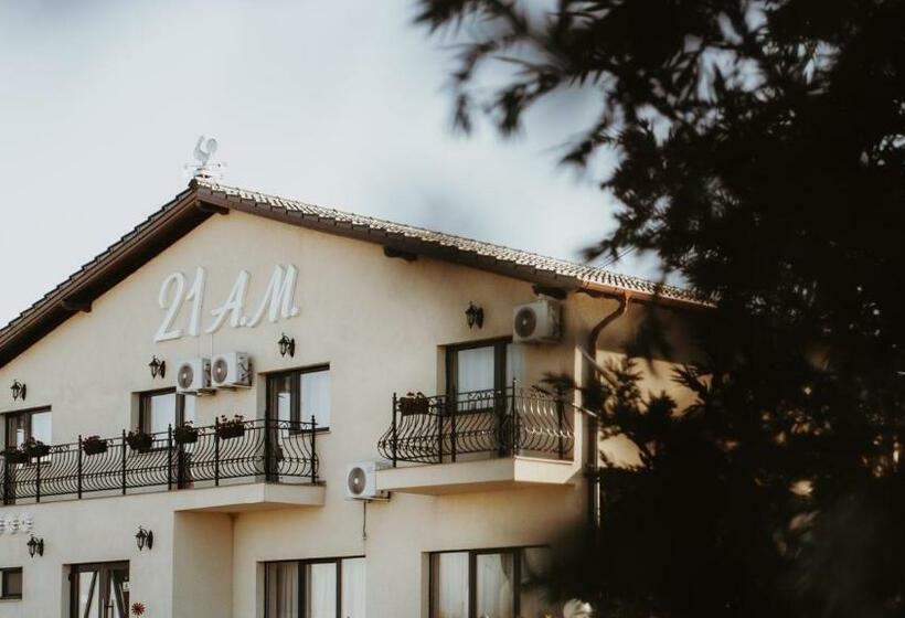 호텔 Pensiunea 21 Am