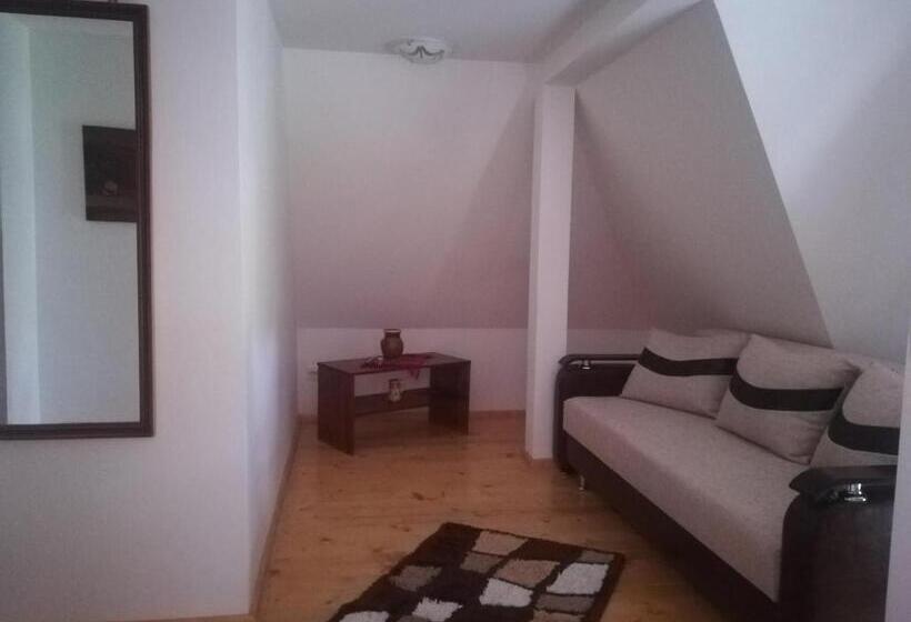 Отель Pensiunea Muntele Gaina