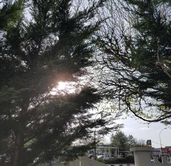 פנסיון Ndp Family