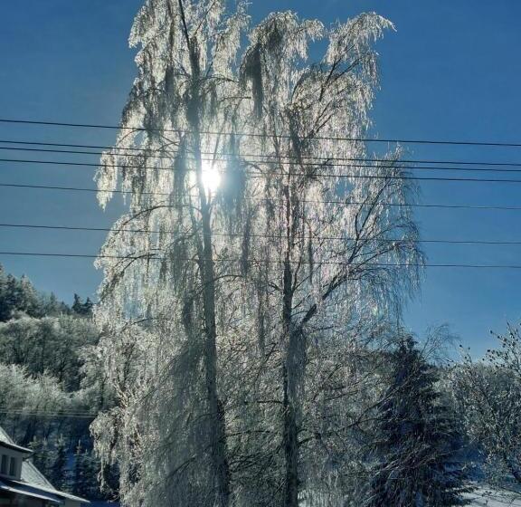 펜션 Penzion Staré Purkartice