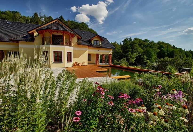 Пансион Vila Starý Mlýn