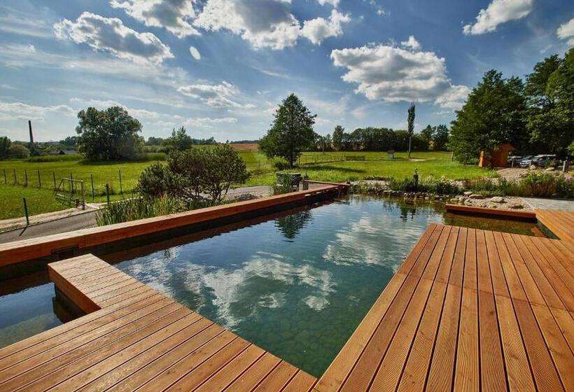 Пансион Vila Starý Mlýn