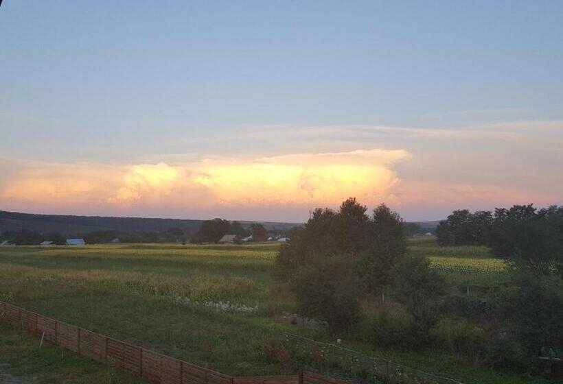 펜션 Zestrea Bunicilor