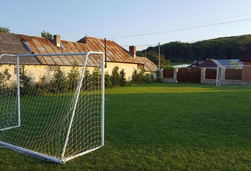 פנסיון Zestrea Bunicilor