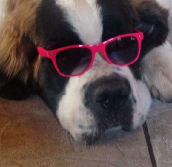 펜션 Zum Altbreitenfelderhof