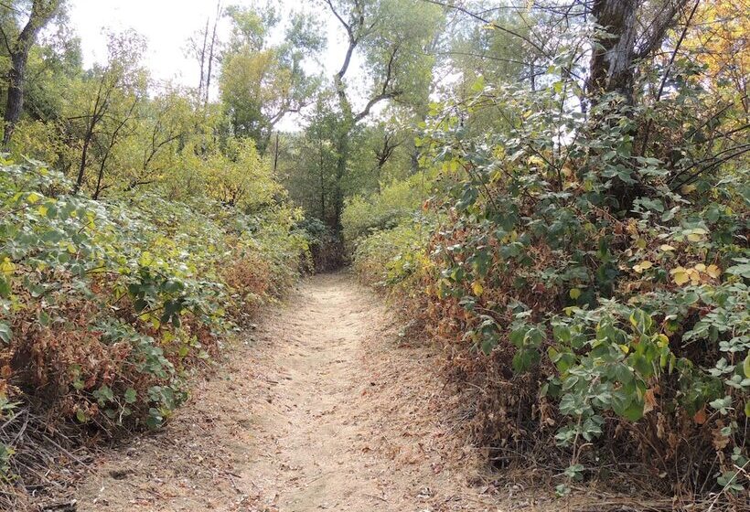 리조트 Indian Creek Lodge