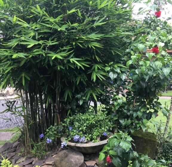 Zacona Eco Resort & Biblical Garden