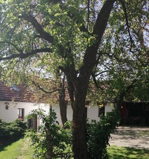 旅馆 Keramický A Výtvarný Ateliér Konešín