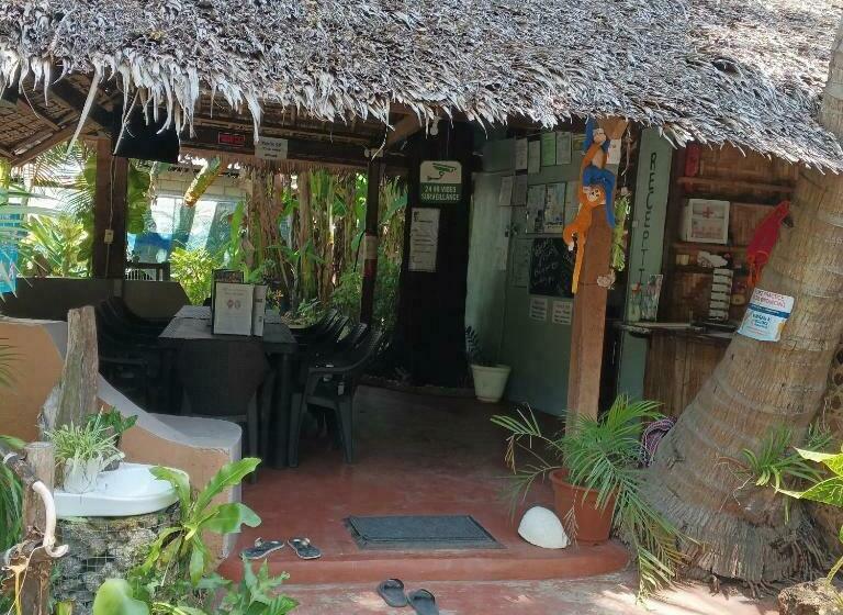 호스텔 Two Crazy Monkeys