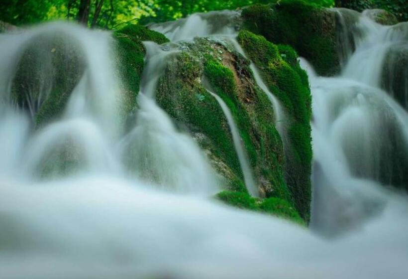 فندق صغير Zubimuxu Aterpea