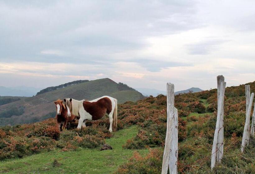 فندق صغير Zubimuxu Aterpea