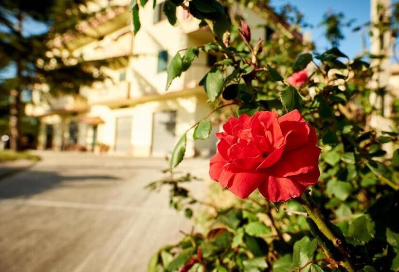 Bed and Breakfast Bouganville House   Casa Vacanze