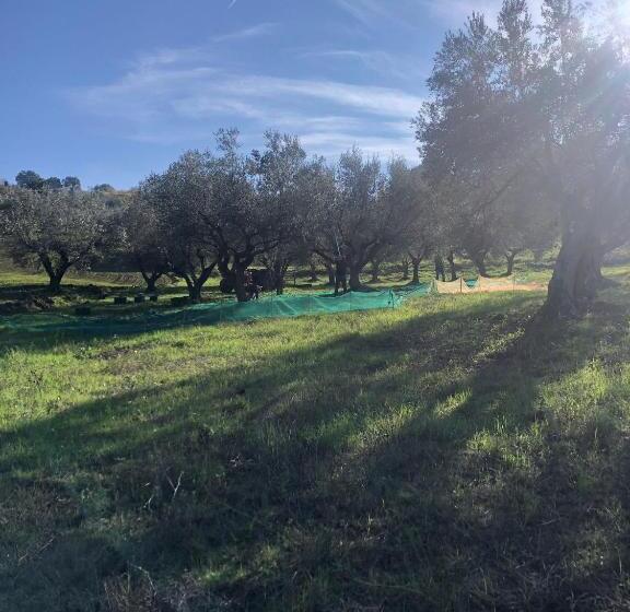 B&b La Casa Di Giuliana