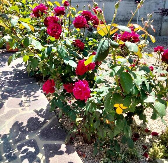 B&b La Casa Di Giuliana