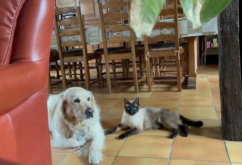 민박 Chambres D Hôtes Là Je Ris