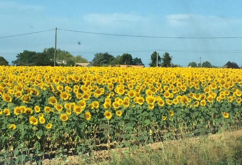 مبيت وإفطار Au Mas Retz De Jade