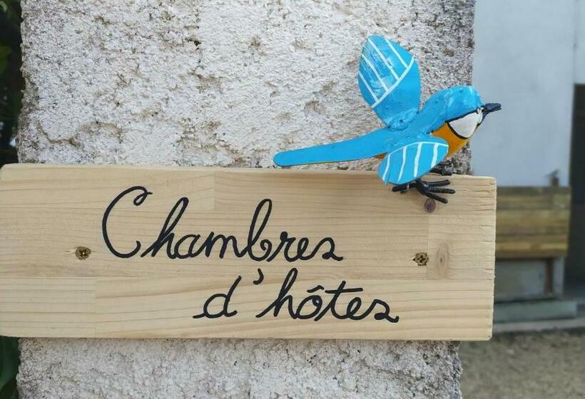 צימר Avol D Oiseau