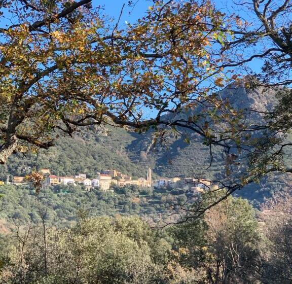 Bed and Breakfast Casa Basgiu, Chambres Avec Balcon Et Table D Hôtes