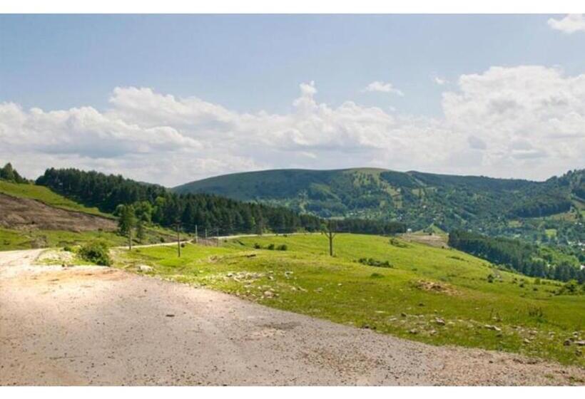 住宿加早餐  Casa Savu Secaria